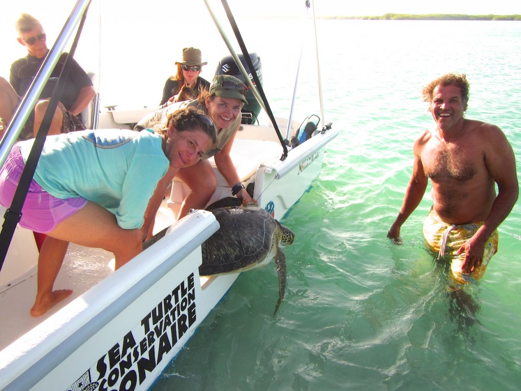 Releasing the turtle in Lac Bay, she disappeared as lightning