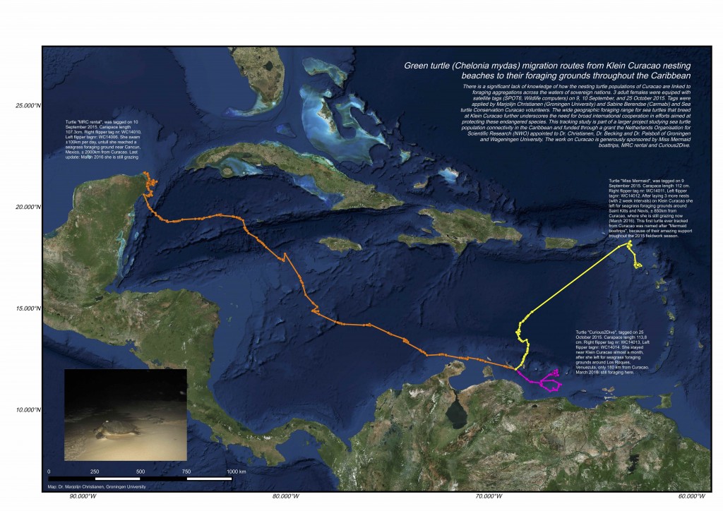 map_curacao tracking_Christianen_300s