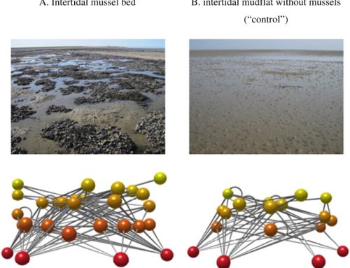 New paper: Food web indicators for conservation succes