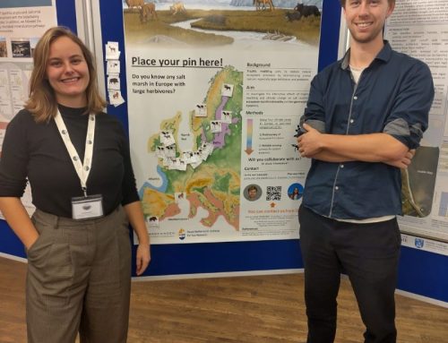 WildMarsh is seeking collaborators and field sites!