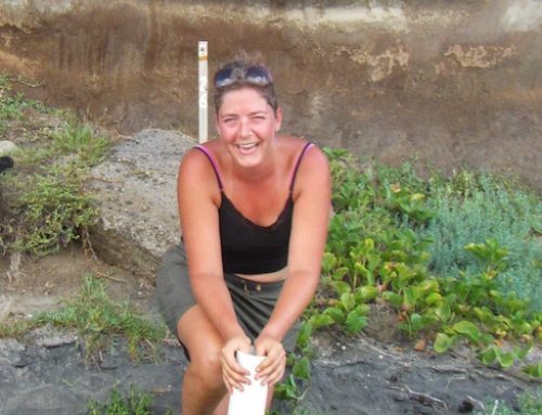 Guest post: Fionne’s research – sea turtle nest temperatures St. Eustatius
