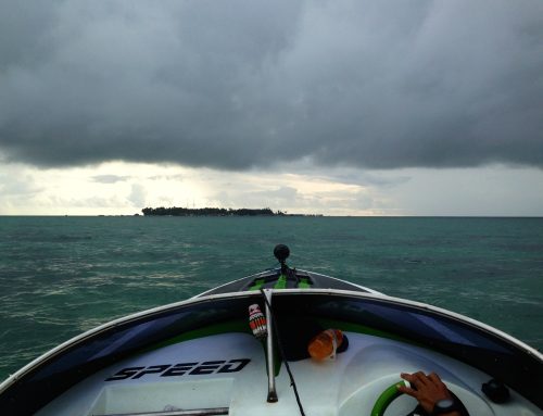 Fieldwork Derawan 2014 photo series