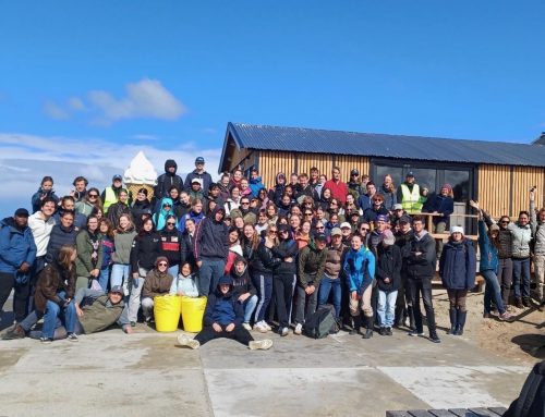 Field project Marine Science Texel 2025
