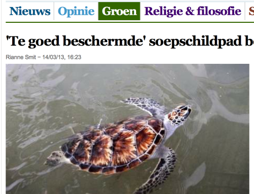 My research in the (Dutch) media
