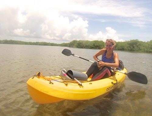 Guest post: Fee’s research – turtle exclosures Lac Bay