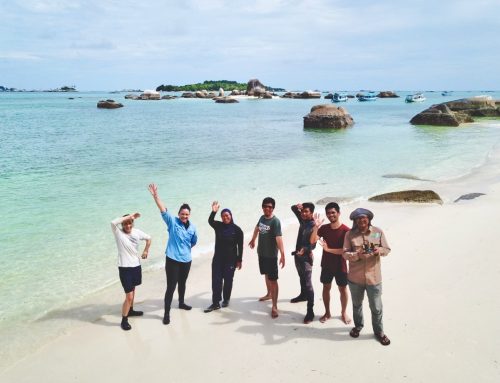 Belitung fieldwork: The impact of green sea turtles on carbon dynamics in tropical seagrass ecosystems