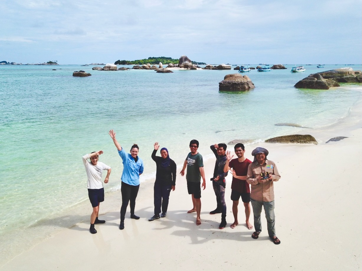 Belitung fieldwork: The impact of green sea turtles on carbon dynamics in tropical seagrass ecosystems