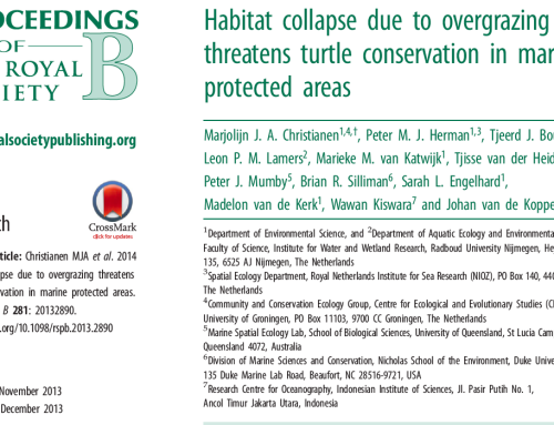Green turtles threaten their own food source in MPAs: New paper Proceedings B