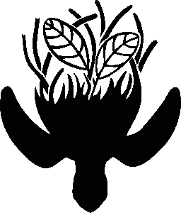 Coastal Rewilding & Experimental Ecology Research Group