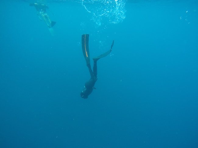 Laurent freediving to ship wreck Chien tong St. Eustatius to catch a turtle