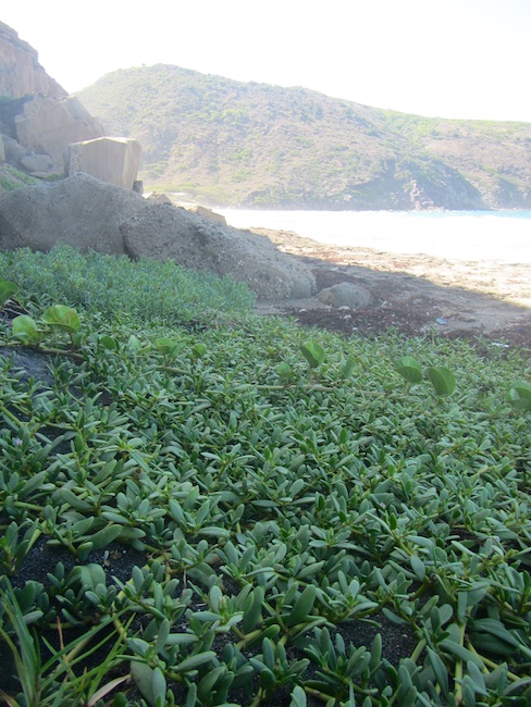 20160817MC123050 - Version 2