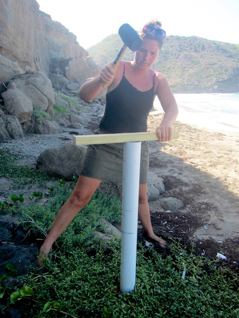 Fionne is temporarily removing a core of sand to place a temperature logger